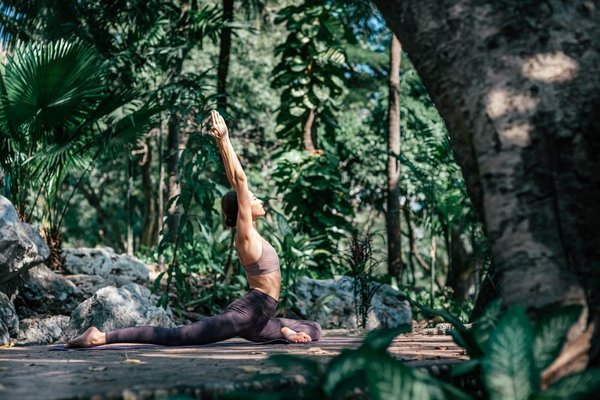 Comment choisir une croisière qui offre des ateliers sur la conservation marine ?